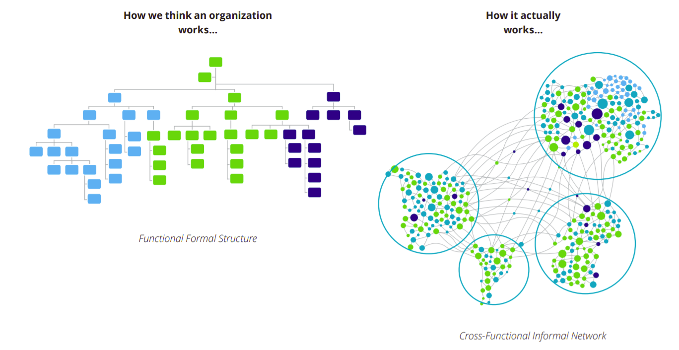 How organizations work